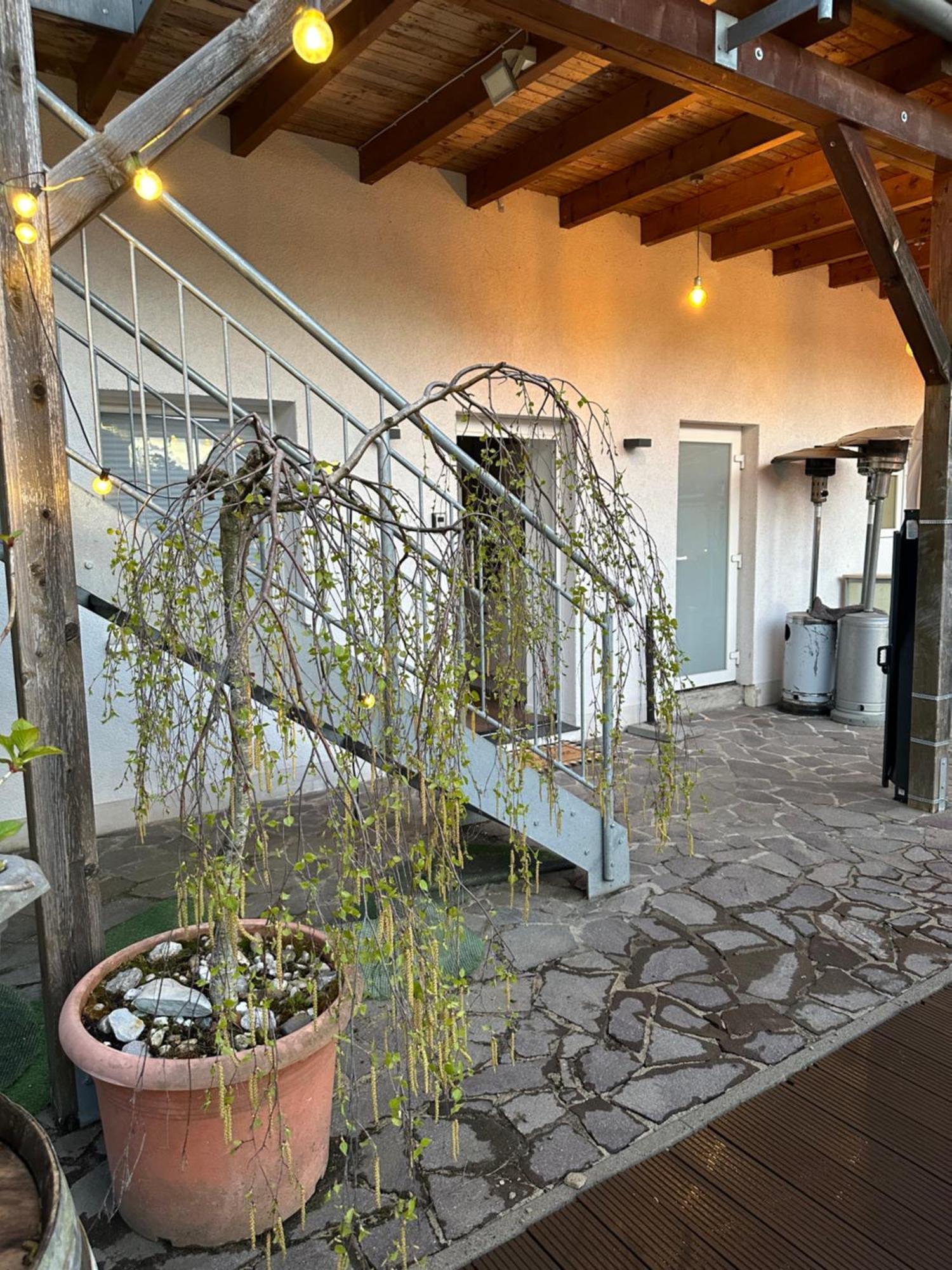 Mola Apartments-Apartment Im Herdecker Zentrum Fuer 3 Gaeste-Gratis Parkplatz-Highspeed Wlan-Auch Fuer Langzeit Geeignet Exterior foto